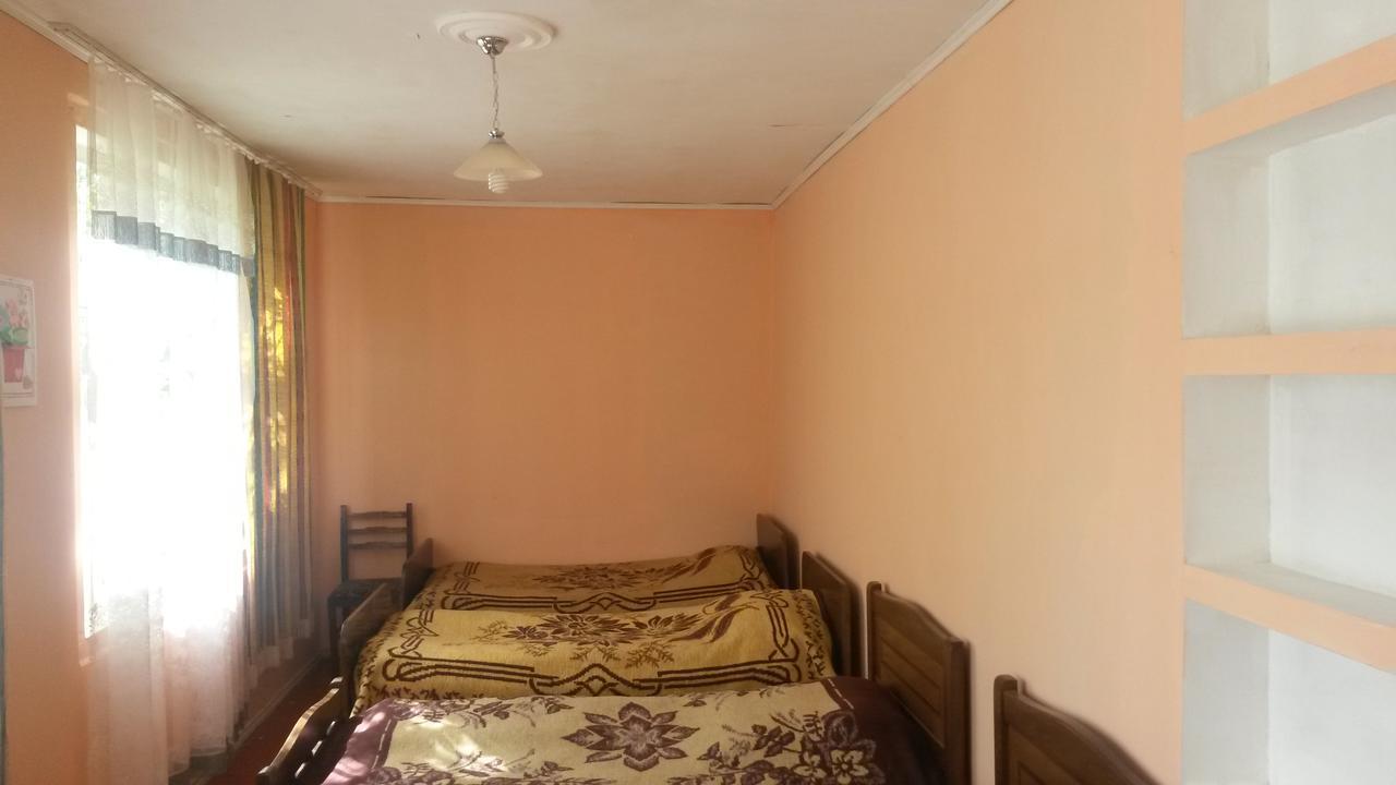 Ushba Hotel Mestia Ngoại thất bức ảnh